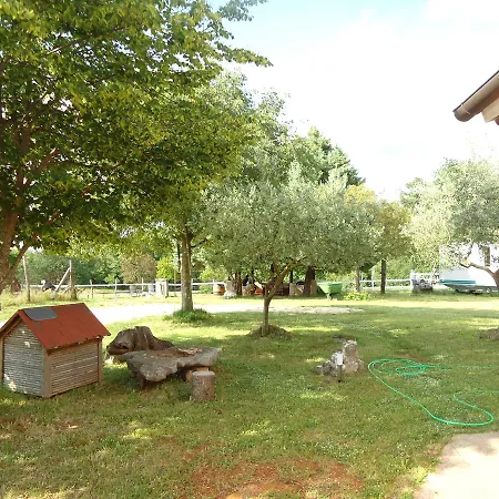 Apartament Lumier *